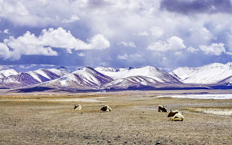 单身女性独自探险