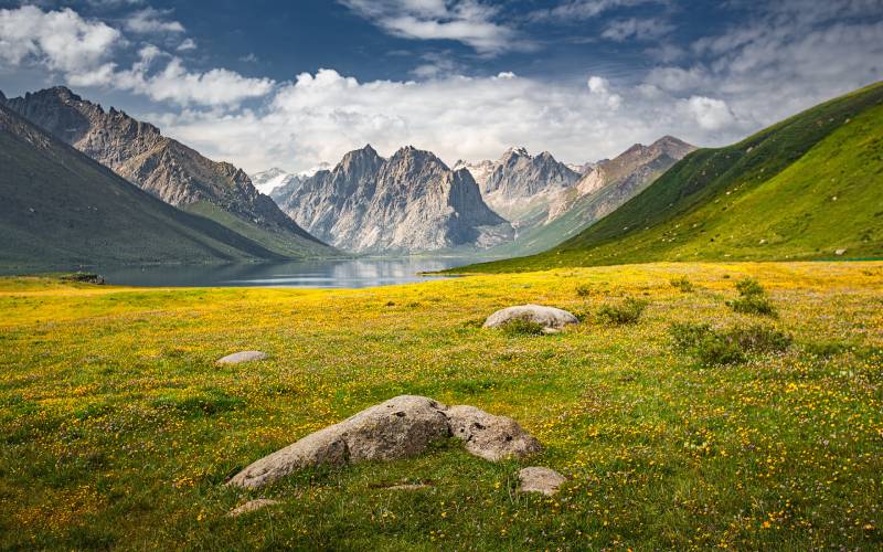 科考团队野外作业